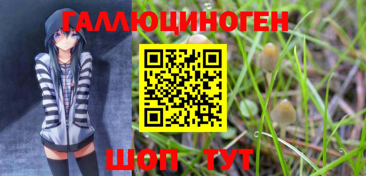 где можно купить наркотик  Галлюциногенные грибы GOLDEN TEACHER  Вход с VPN  Похвистнево  Галлюциногенные грибы мухоморы 